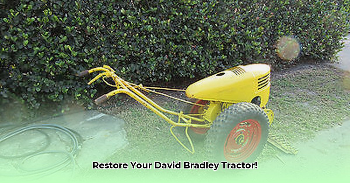 david-bradley-walk-behind-tractor